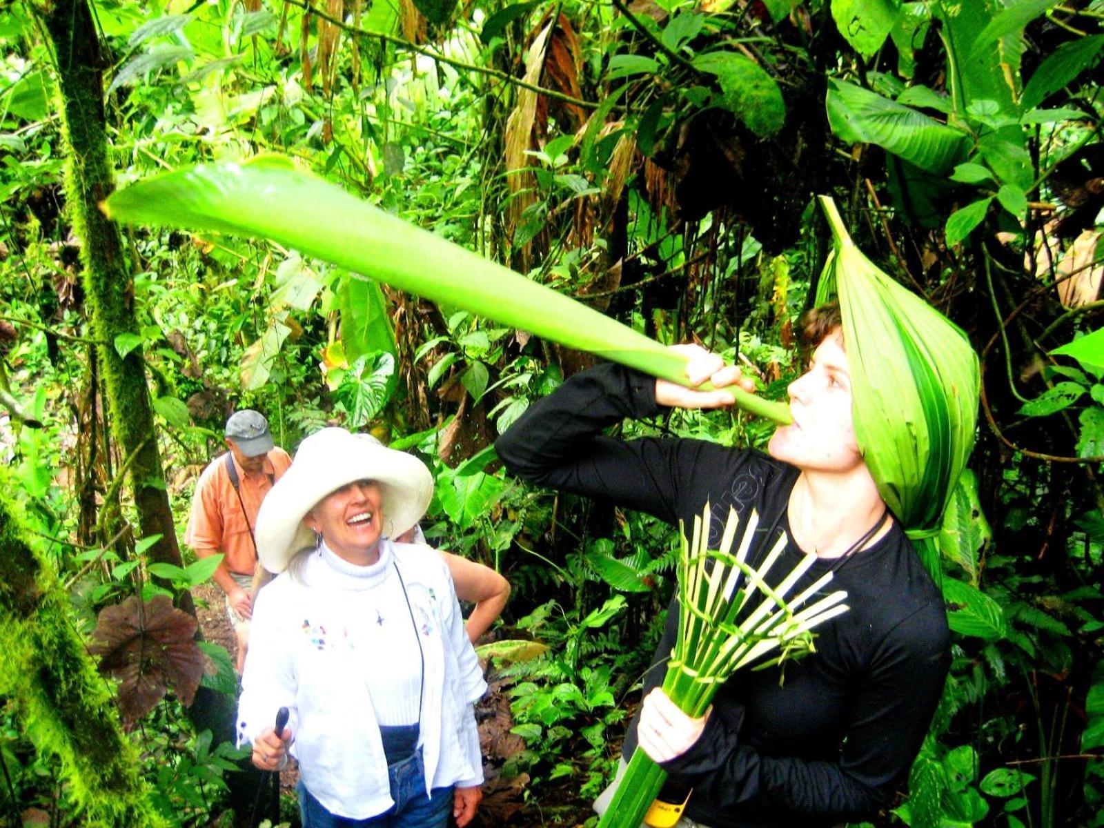 Huasquila Amazon Lodge Cotundo 객실 사진