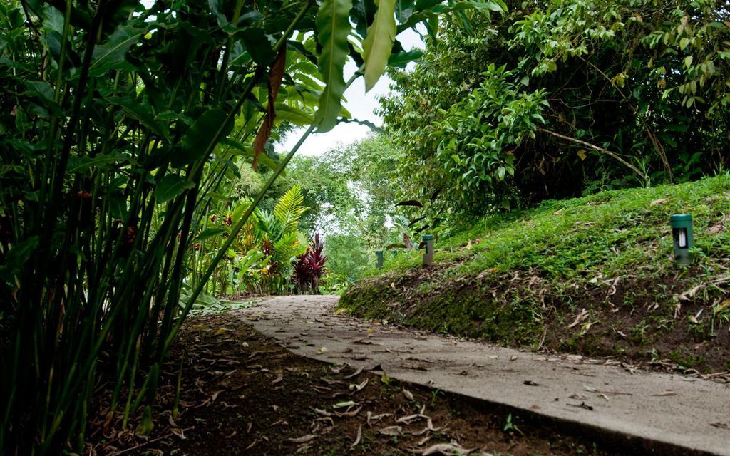 Huasquila Amazon Lodge Cotundo 외부 사진