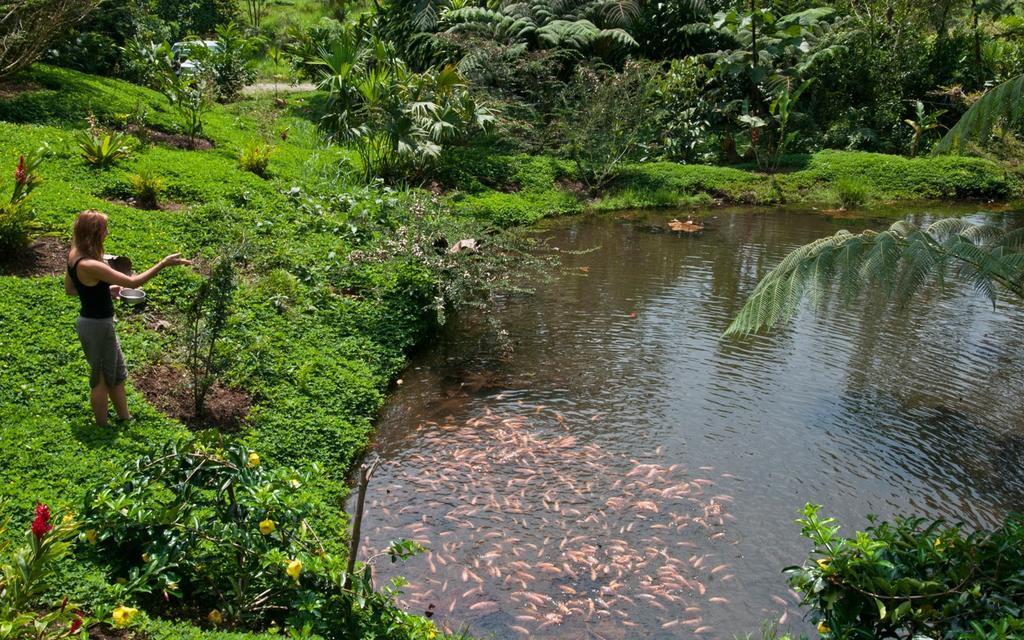 Huasquila Amazon Lodge Cotundo 외부 사진