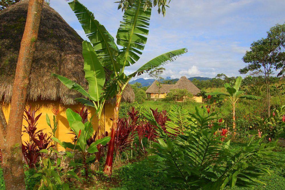 Huasquila Amazon Lodge Cotundo 외부 사진