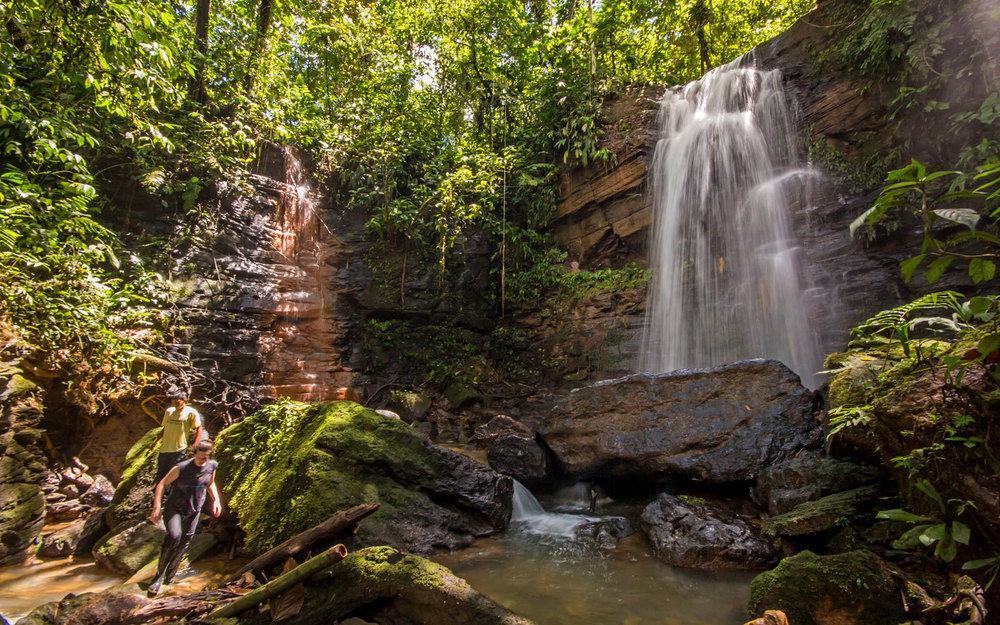 Huasquila Amazon Lodge Cotundo 외부 사진