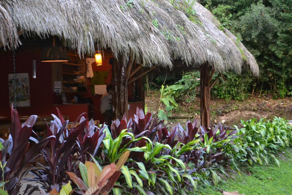 Huasquila Amazon Lodge Cotundo 외부 사진