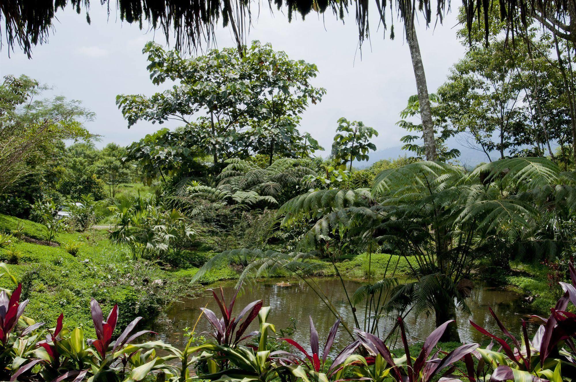 Huasquila Amazon Lodge Cotundo 외부 사진