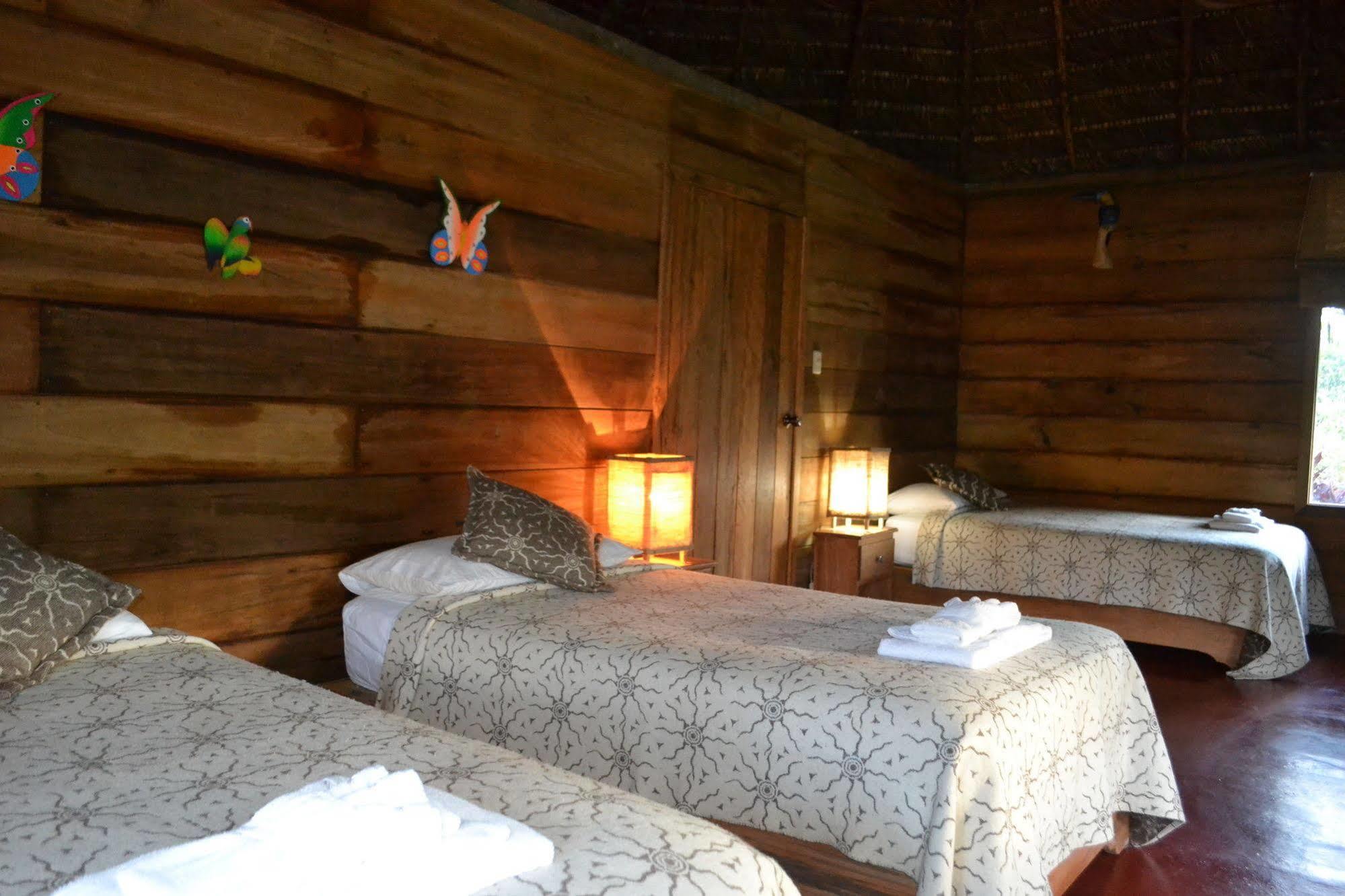 Huasquila Amazon Lodge Cotundo 외부 사진